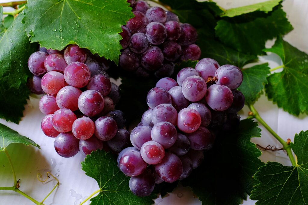 Fruits Without Seeds Are Not Fruit